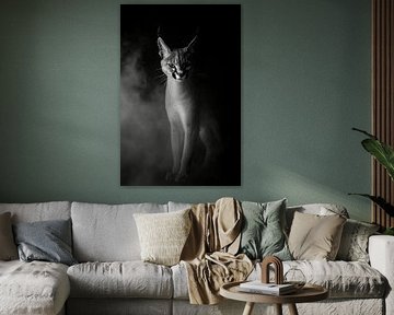 Lynx sur Poster Art Shop