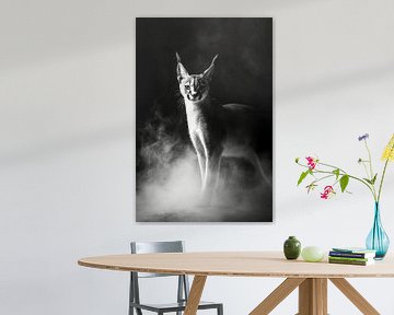 Lynx van Poster Art Shop