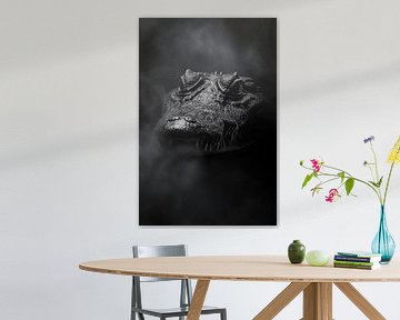 Crocodile. by Poster Art Shop