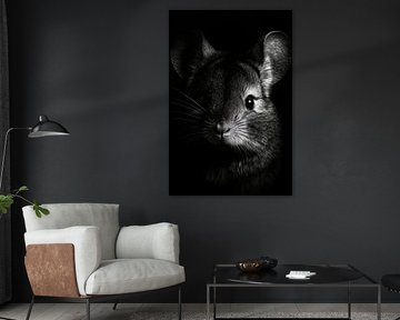 Chinchilla sur Poster Art Shop