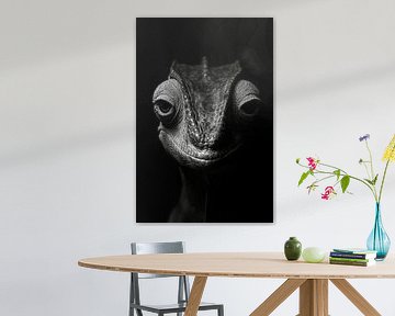 Hagedis van Poster Art Shop