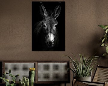 L'âne sur Poster Art Shop