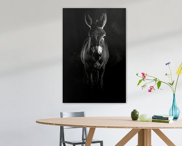 Ezel van Poster Art Shop