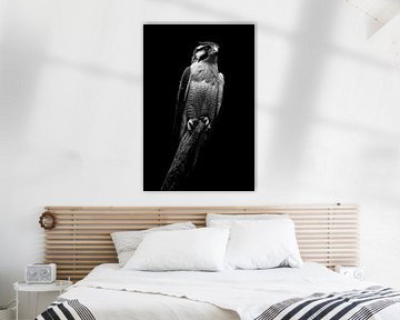 Valk van Poster Art Shop