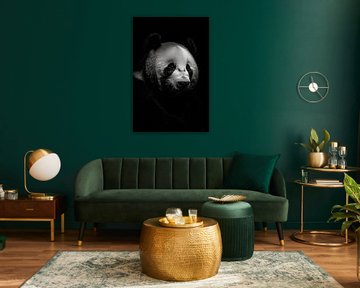 Panda by Poster Art Shop