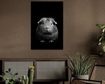 Cavia van Poster Art Shop