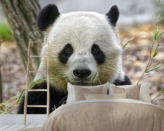 Voorbeeld van het werk in een kamer
