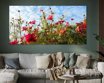 Blumenwiese