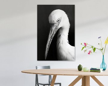 Ooievaar van Poster Art Shop