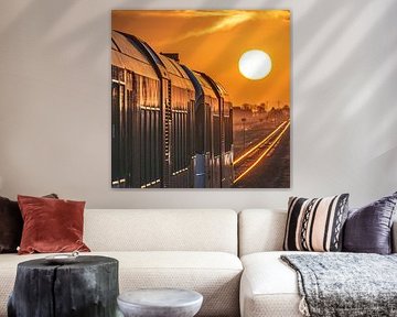 A train approaches a station during sunset with tracks lighting up by Harrie Muis
