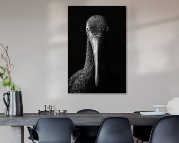 Ibis van Poster Art Shop