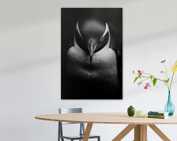 Penguin by Poster Art Shop