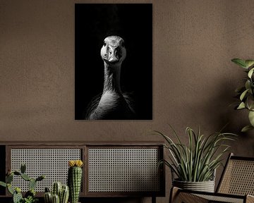 Gans van Poster Art Shop
