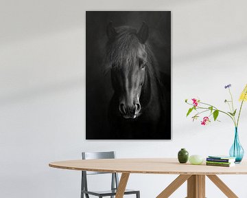 Paard van Poster Art Shop