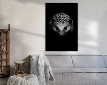 Egel van Poster Art Shop