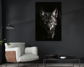 Loup sur Poster Art Shop