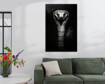 Cobra sur Poster Art Shop