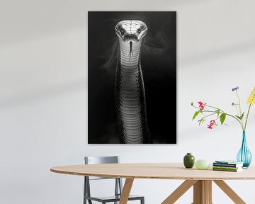 Cobra sur Poster Art Shop