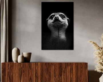 Stokstaartje van Poster Art Shop