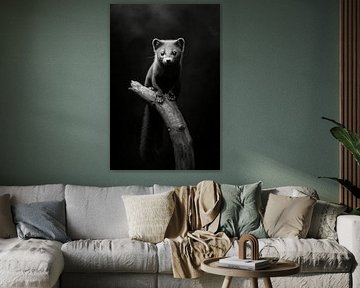 Marten by Poster Art Shop