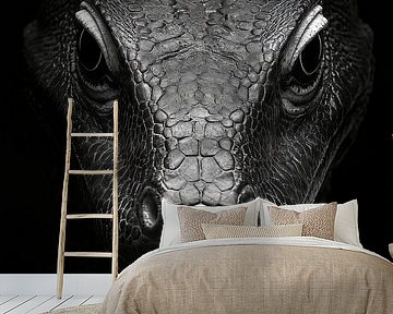 Hagedis van Poster Art Shop