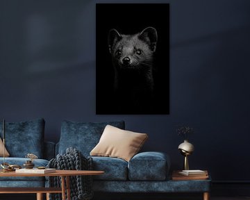 Marten. van Poster Art Shop