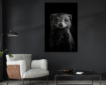 Mongoose by Poster Art Shop