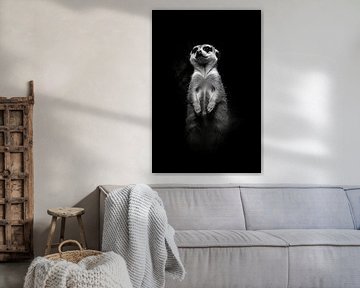 Stokstaartje van Poster Art Shop