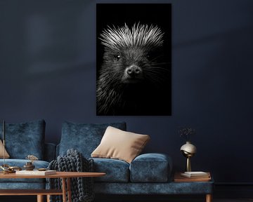 Porcupine. by Poster Art Shop