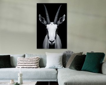 Antelope by Poster Art Shop
