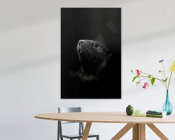 Otter van Poster Art Shop