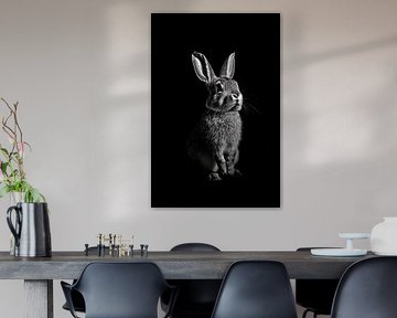 Haas van Poster Art Shop