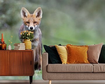 Junger Fuchs in den Dünen von Menno Schaefer