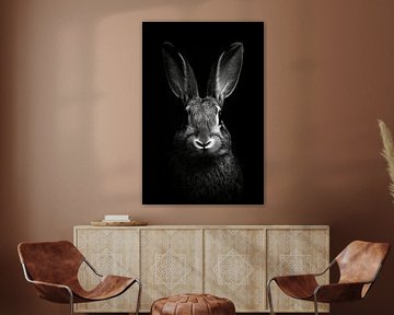 Haas van Poster Art Shop