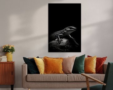 Hagedis van Poster Art Shop