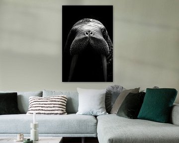 Walrus by Poster Art Shop