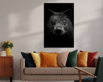 Wombat by Poster Art Shop