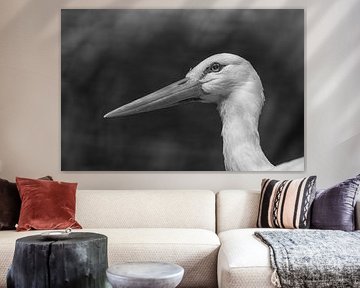 Stork b/w by | A. V. T. | photography