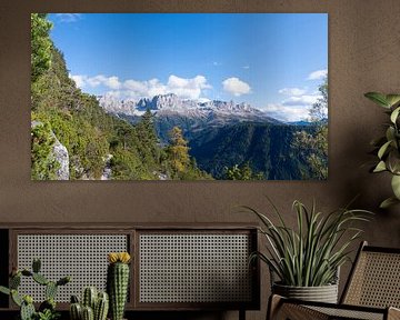 Hoher Blick auf den Rosengarten