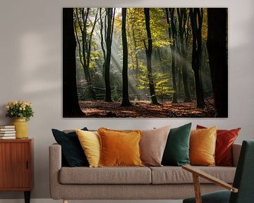 sun harps in autumn forest by Marika Rentier
