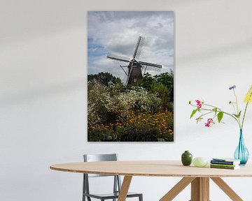Windmühle Zwiep