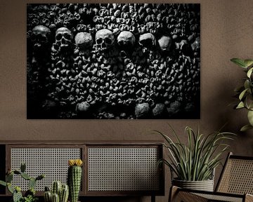 Skull of the Catacombs of Paris by Melvin Erné