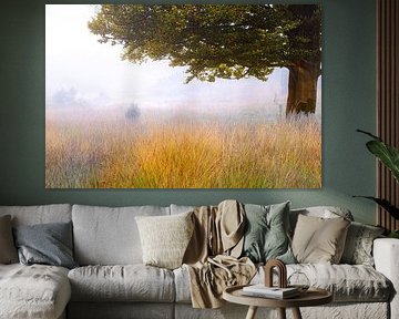 Nebliger Morgen auf dem Großen Feld von Wicher Oort