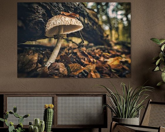 Aperçu de la chambre