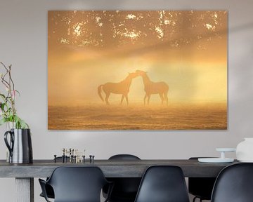 Paarden in ochtendmist van Friso Schinkel