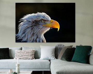 Close-up Amerikaanse Wouw van Art & Soul Creations