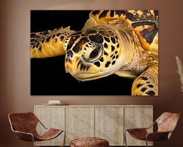 Zeeschildpad zwemt in oceaan