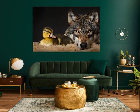 Aperçu de la chambre