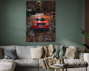 Ford mustang van Leader Fc