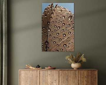 Veer met druppel van Naturdetail Fotografie